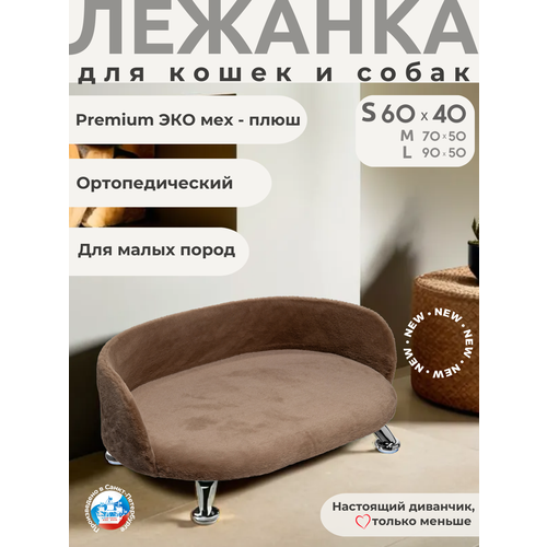 ���� ������� ��� ����� � ����� ������ � ������� ����� Chauzi 