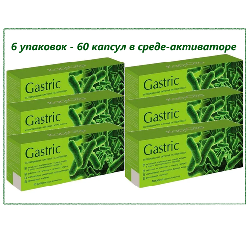  Gastric KapsOila ( )    , , 6   10 . -.   -     , -  