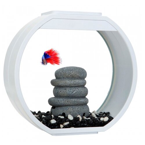   AA Aquarium Deco O Mini UPG 10    -     , -  