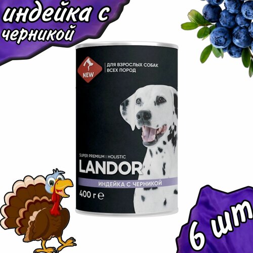  LANDOR          400  (6 )   -     , -  