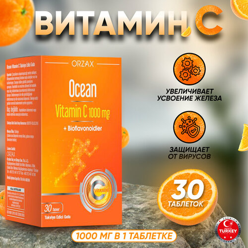 ���� ������� C 1000 ��, ������ ������