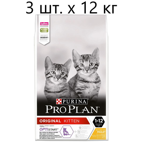      Purina Pro Plan ORIGINAL KITTEN OPTISTART,    , 3 .  400    -     , -,   