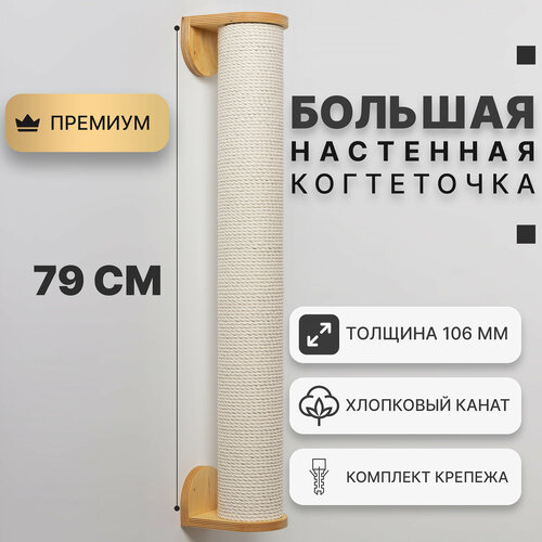 ���� ���������� ��� ����� ��������� ������� Catsad 