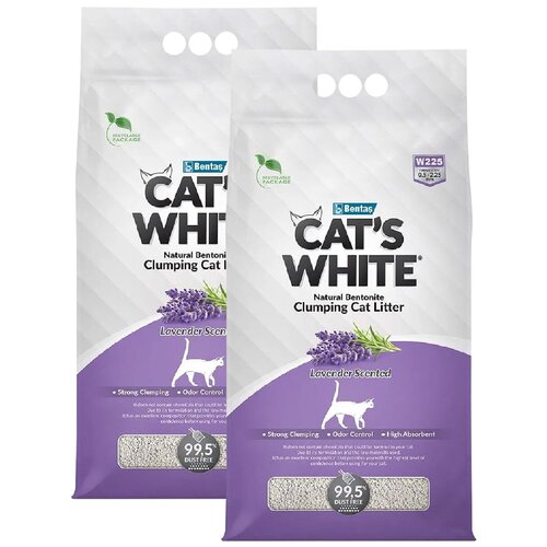  CAT'S WHITE LAVENDER         (10 + 10 )