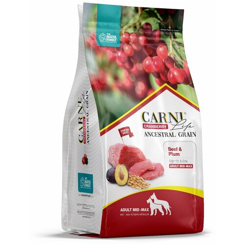  Carni Life       ,      12    -     , -  