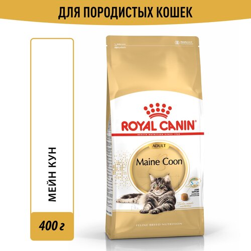     Royal Canin Maine Coon Adult (  )         , 0,4    -     , -  