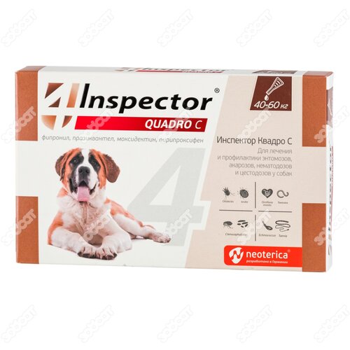     INSPECTOR Quadro   25-40, 3    -     , -,   