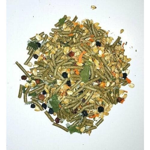 ���� ���� ��� ������� ������, ��������, ��������