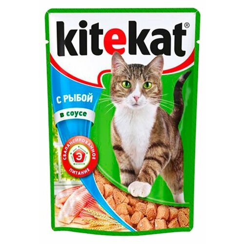  Kitekat       ,    (28   ) 85 