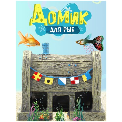 ���� ��������� ��� ���������, �����, �������, ����������, ������ ������