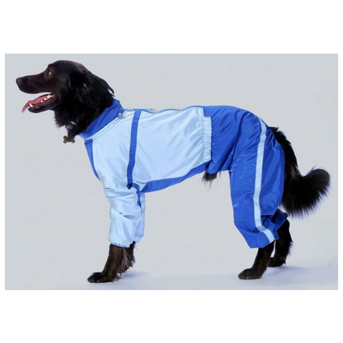 ���� ���������� 