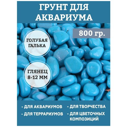 ���� ����� ��� ��������� 