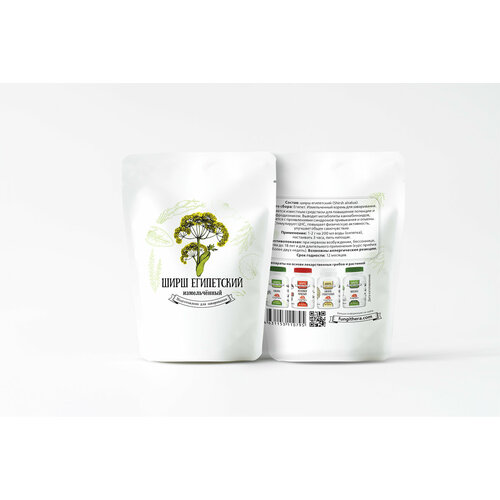 ���� ���� ���������� 10 �����, ������ ������