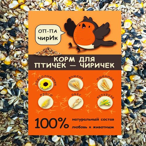 ���� ���� ��� ���� �������, ������ � ��������