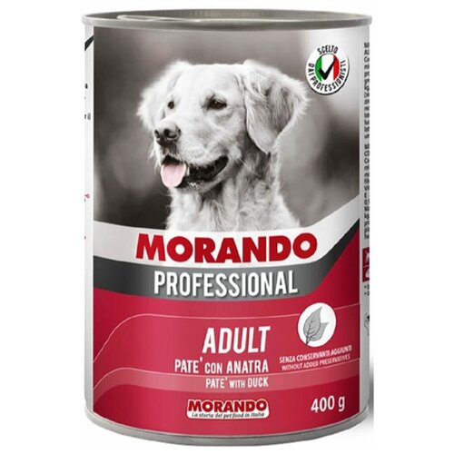  Morando () Professional       , 400.   -     , -,   