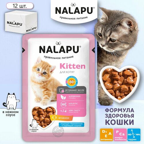      NALAPU Kitten     ,       ,12.  77   -     , -  