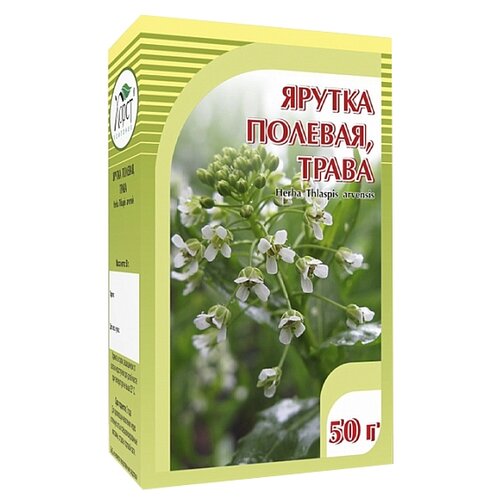 ���� ����� ����� ������ �������, ������ ������