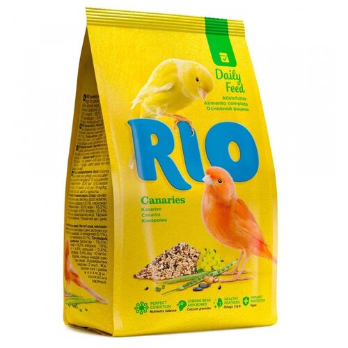  RIO  Daily feed  , 1   -     , -  