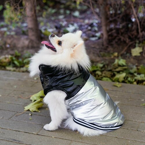 ���� ������/����� ��� �����, ������ ��� �����, 