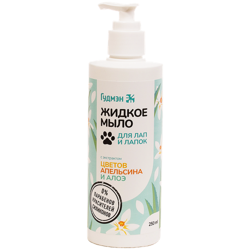 ���� ������ ���� 