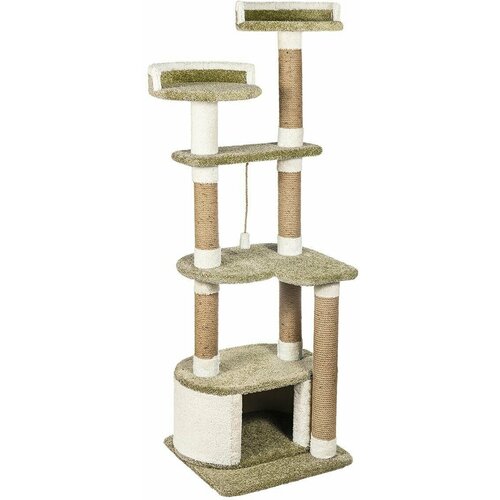 ���� ������� �������� ��� ����� 