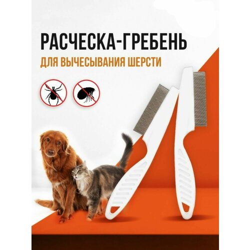 ���� �������� �� ���� ��� ����� � �����/ ������� 63 ������, �����, ������ ������