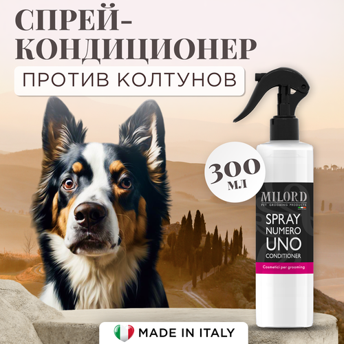 ���� �����-����������� ��� ����� UNO ��� ������ ������������ ��������, ������ ������� � ���������� ������, MILORD, ������, ������ ����, 300 ��, ������ ������