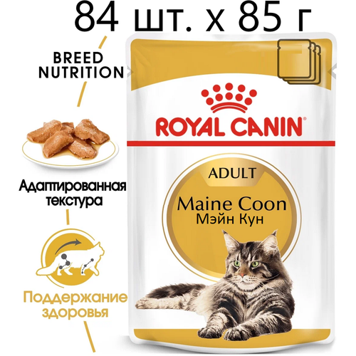      Royal Canin Maine Coon Adult,     -, 84 .  85  (  )   -     , -  