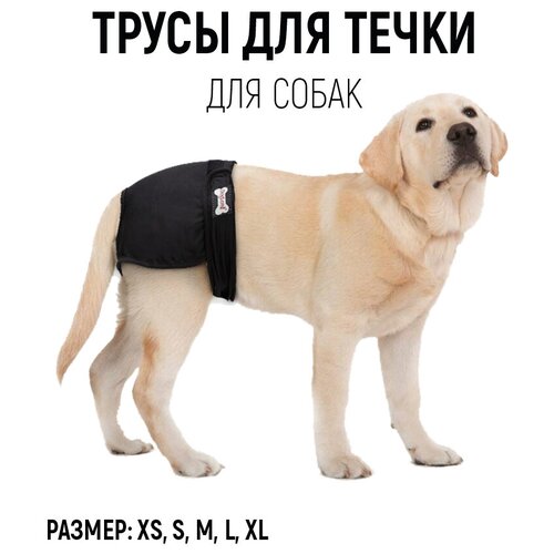    PET&HOME  ,   , , ,  XL   -     , -  