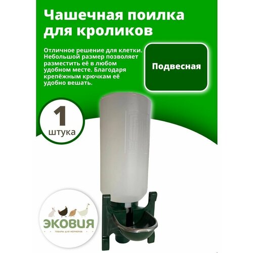 ���� 2� �������� ������ ��� �������� 1 ��, ������ ������