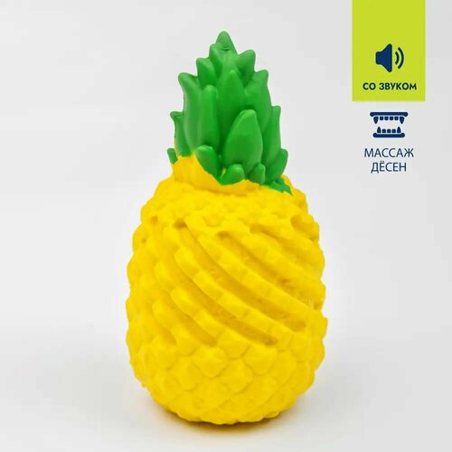 ���� ������� ��� ����� ������, 12 ��, ������ ������