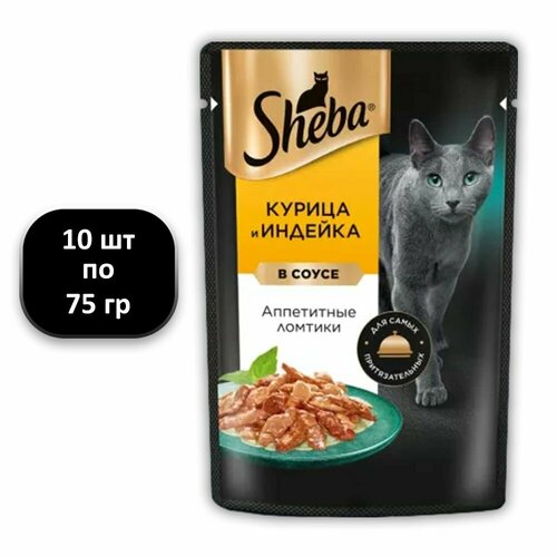  (10 .) 75 , Sheba,  ,  ,   ,      -     , -  