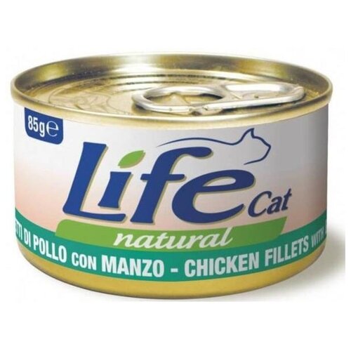  Lifecat       85 124 (2 )   -     , -,   