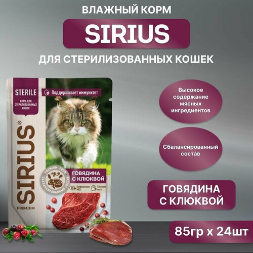    SIRIUS      ,   , , 85*24   -     , -  