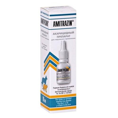 ���� ���-��� ������� �� ���� � ������ ��������� ��� ����� � ����� 1 ��., ������ ������