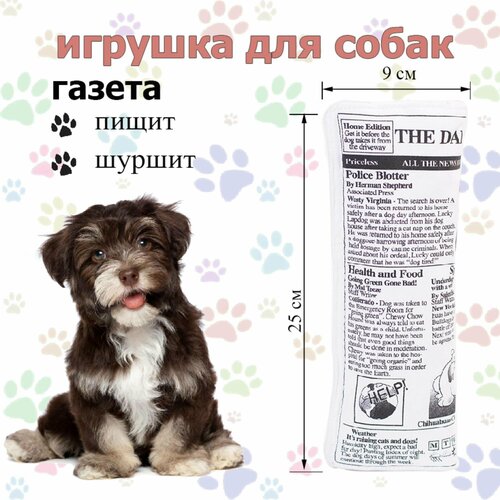 ���� ������� ��� ����� ����������� ������ � ��������� � ��������/�����������/������ �� ��������, 25 ��, ������ ������