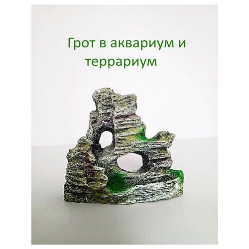 ���� ��������� ��� ��������� ����, ������ ������