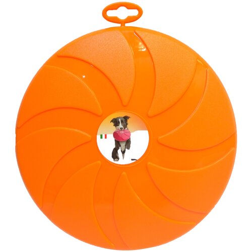     Lilli Pet Frisbee magic ?23,5,