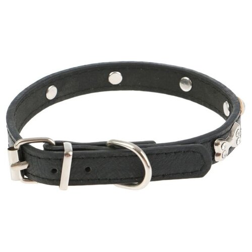 ���� ��� ����������� ������������� ������� ����� �������� � ������, ����� �������� 38 ��, ������ ��� 27-33 ��, 1 ��., ������, XXL, ������ ������