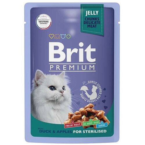    Brit Premium           85 .(14.)   -     , -,   