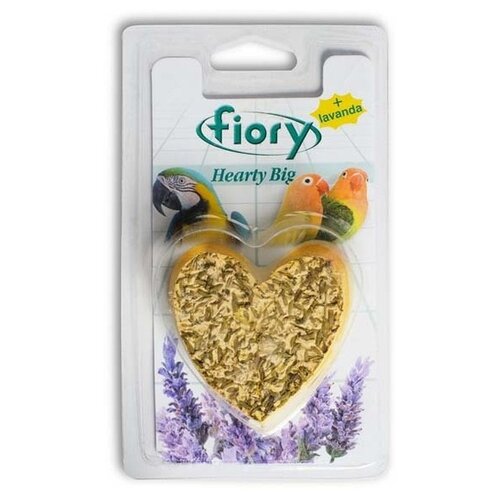     Fiory Hearty Big      45    -     , -,   