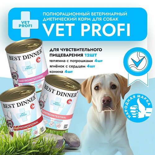    Best Dinner Vet Profi Gastro Intestinal      (12  340)   -     , -  