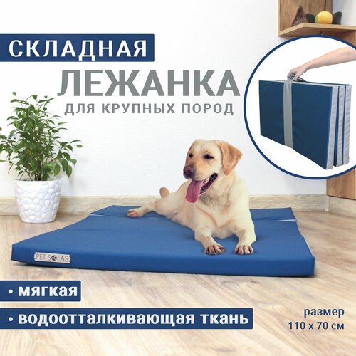  Pet Sofas l      .  .