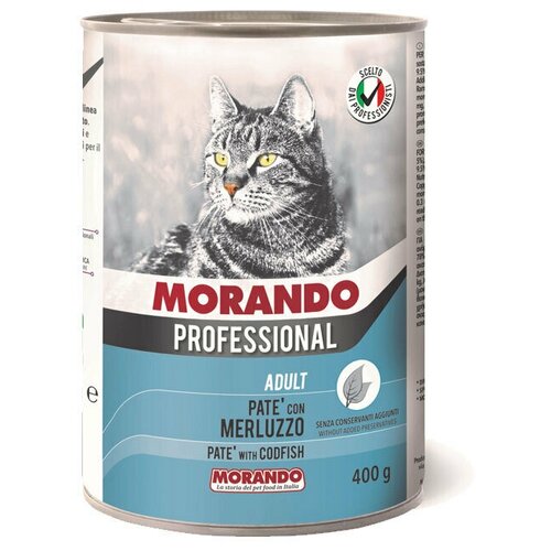    Morando Professional     , 6  400 