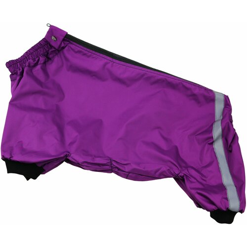 ���� ����������-���� ��� ����� ������ �����, ������ ������