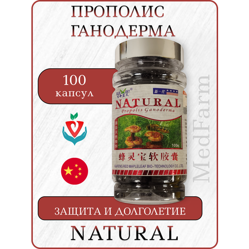 ���� �������� �������� � ���������, Propolis Ganoderma Natural, 100 ������, ������ ������