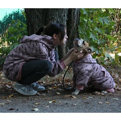 ���� ��������� ��� ����� ������� �����, ������ ������