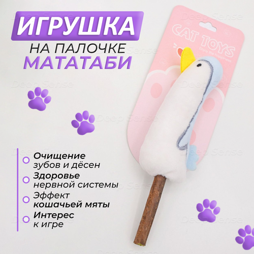 ���� ������ ������� �������� �� ��������� ������� ������� ��� ����� � �����, ������� (�����), ������� ��� ����� � �������� 