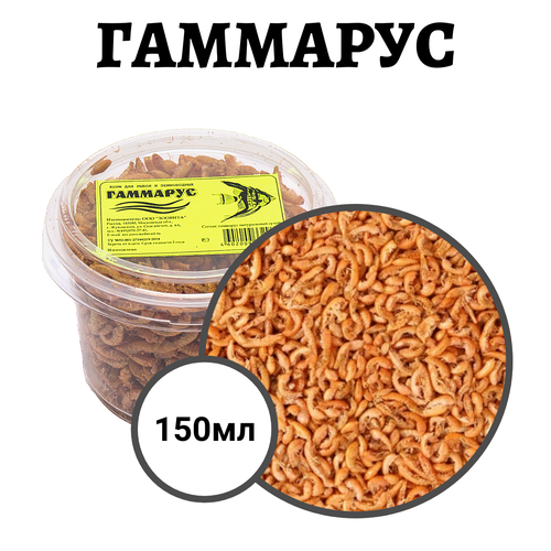 ���� ���� ��� ��� � ������� ������������ �������� 150��, ������ ������