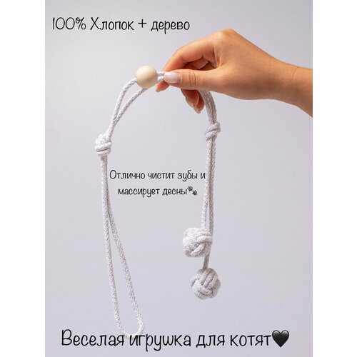 ���� ������� ��� ����� �� ���������� ����� , ������ 